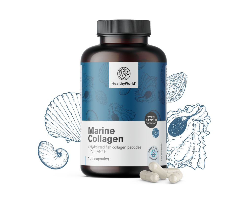 Collagène marin 1170 mg