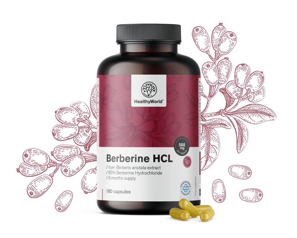 Berbérine HCL 500 mg
