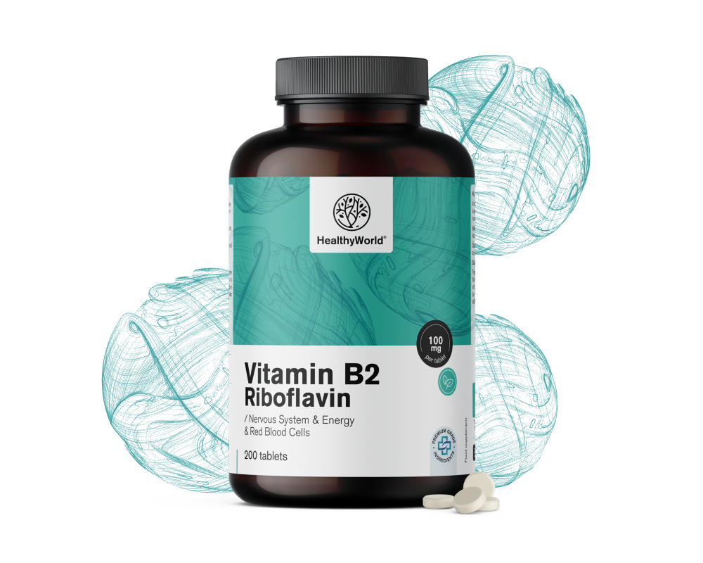 Vitamine B2 - riboflavine 100 mg