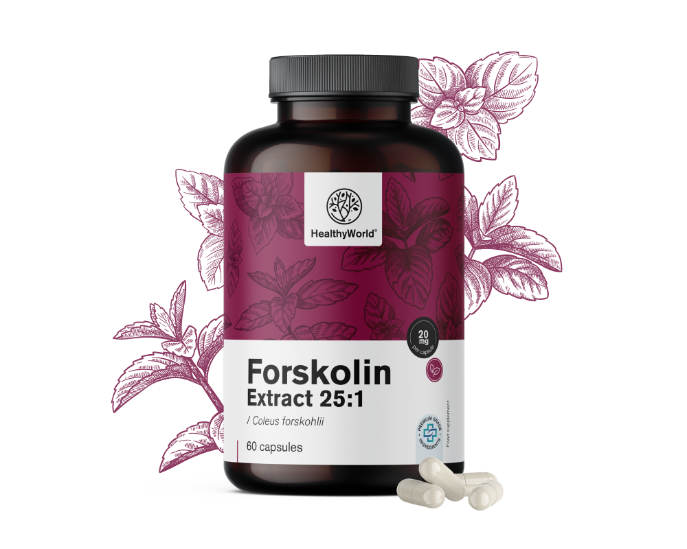 Forskoline – extrait d'ortie indienne 20 mg