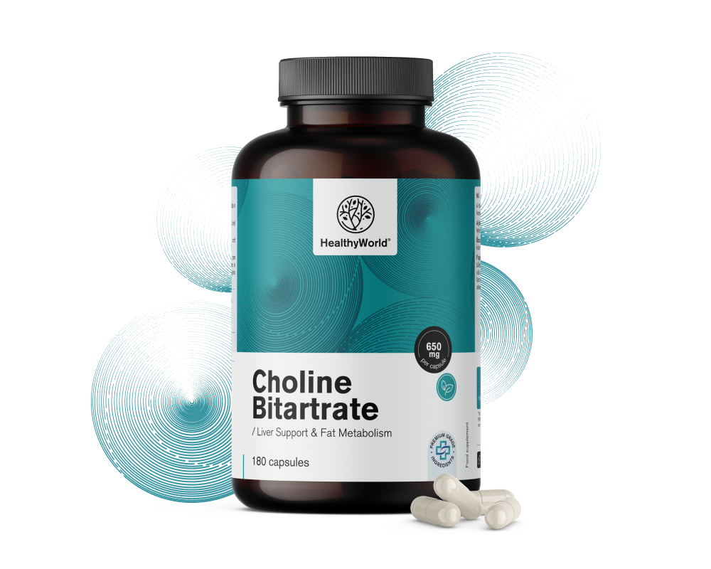 Bitartrate de choline 650 mg