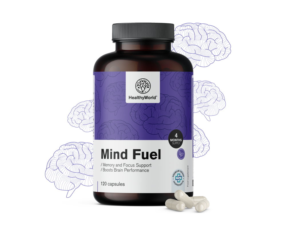Mind Fuel – mémoire et concentration