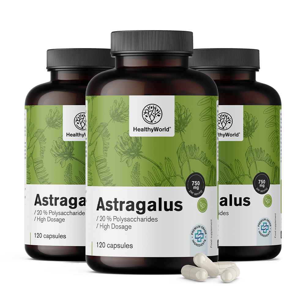 Astragalus – extrait