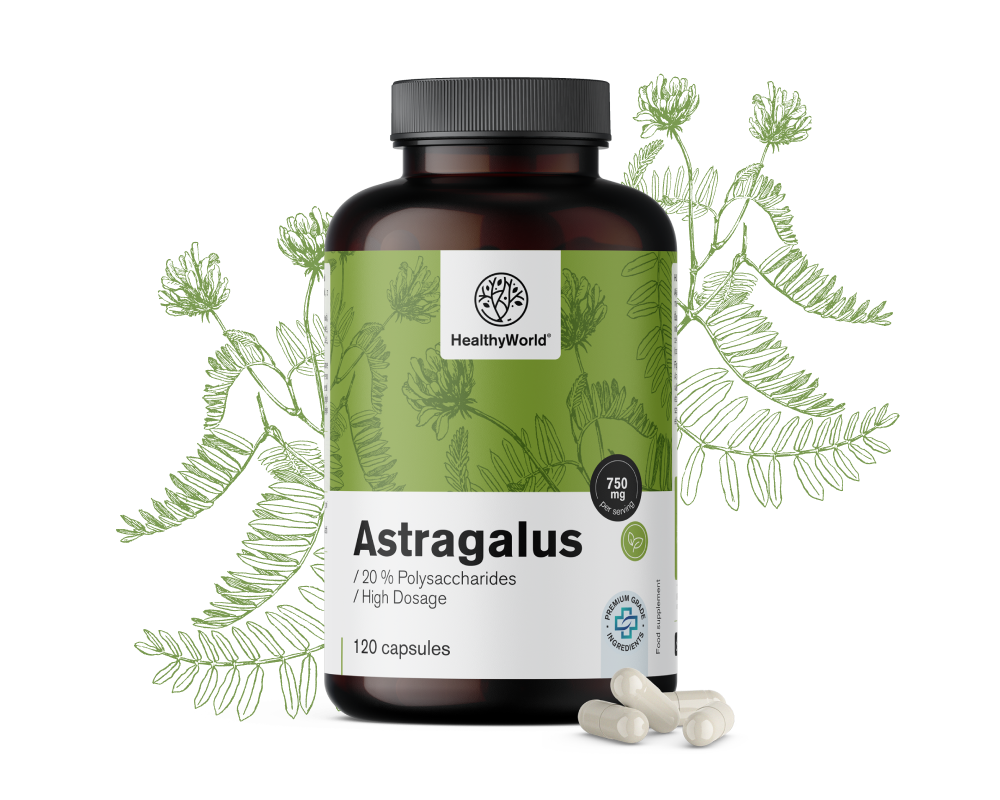 Astragalus – extrait