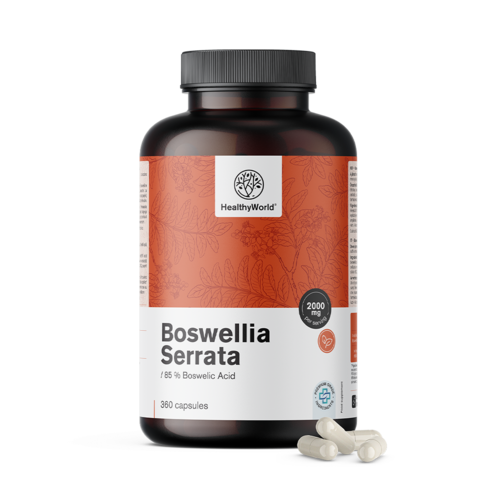 Boswellia (Boswellia Serrata) – 85 % acide boswellique, 360 gélules