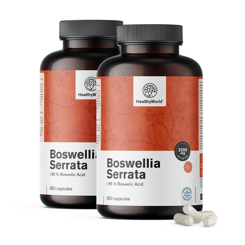 Boswellia (Boswellia Serrata) – 85 % acide boswellique