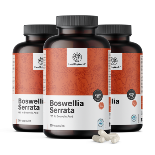 3x Boswellia (Boswellia Serrata) – 85 % acide boswellique, ensemble 1080 gélules