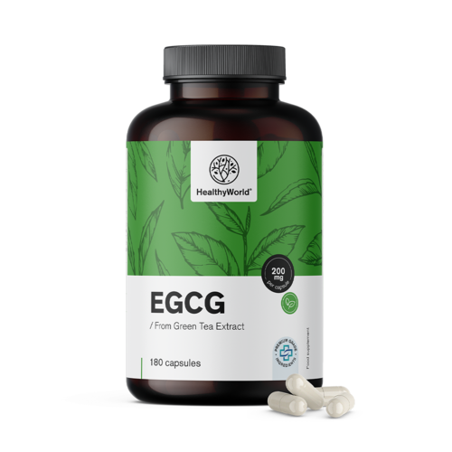 EGCG – à partir d’extrait de thé vert, 180 gélules