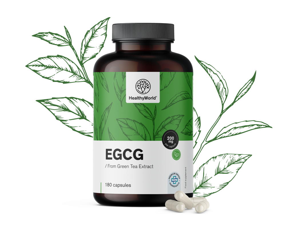 EGCG – à partir d’extrait de thé vert